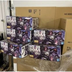 Canadian Gundam MG Dom *BOX DAMAGE*